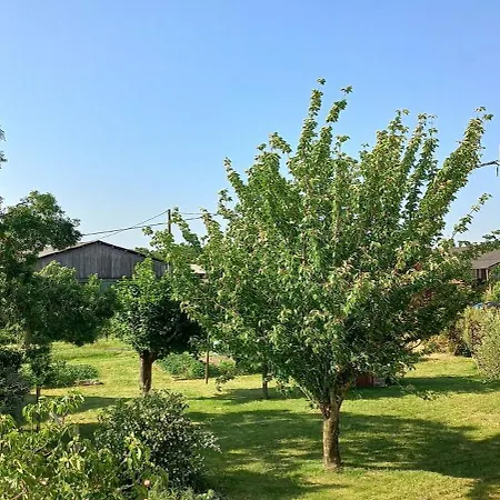 Maison De D'artistes Vallons De L'erdre 4 Pieces 9 Pers Landsted Freigne